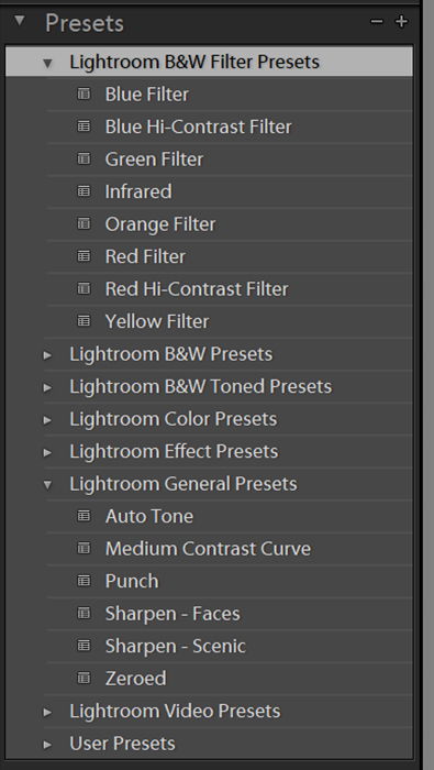 original lightroom presets in the left sidebar of develop lightroom module