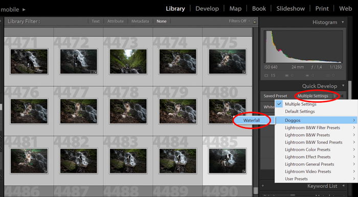 A screenshot showing how to use Lightroom develop presets in library module