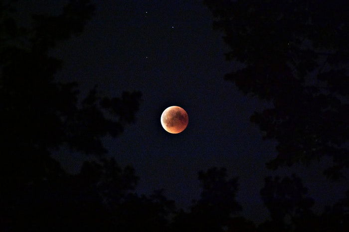  blood moon in night sky