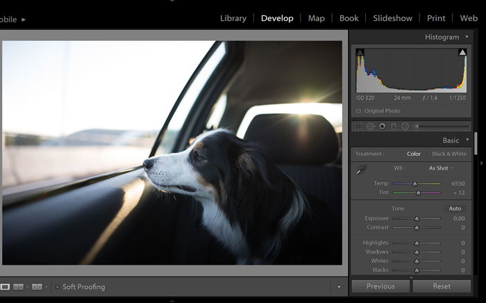 A screenshot of fixing an overexposed photo in Lightroom