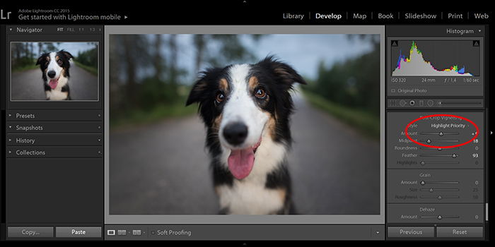 screenshot of editing a dog portrait to remove a vignette in Lightroom