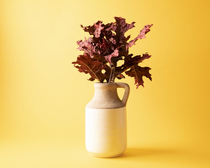 A vase of leafs against a yellow background