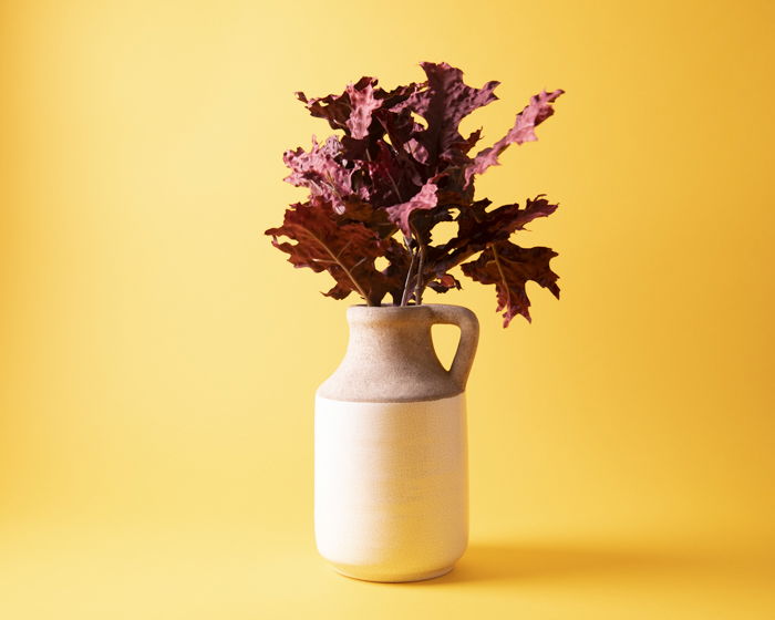 A vase of leaves against a yellow background