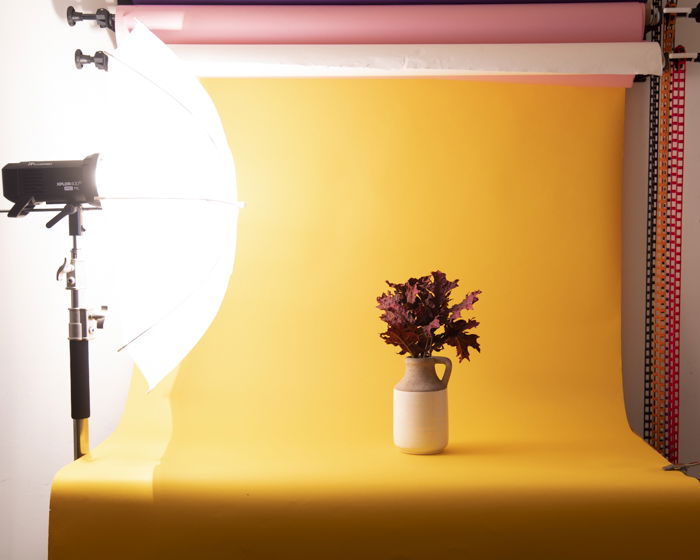 A still life photoshoot of a vase of flowers in an enclosed structure