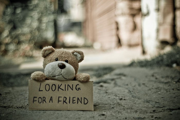 Cute toy photography of a teddy bear holding a sign saying 'looking for a friend'