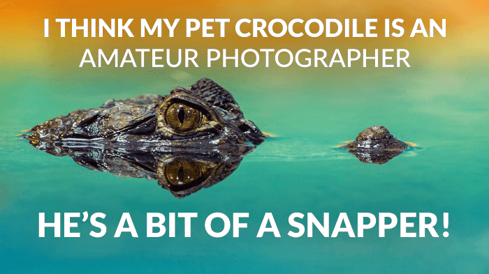 Photography joke over a photo of a crocodile in a lake