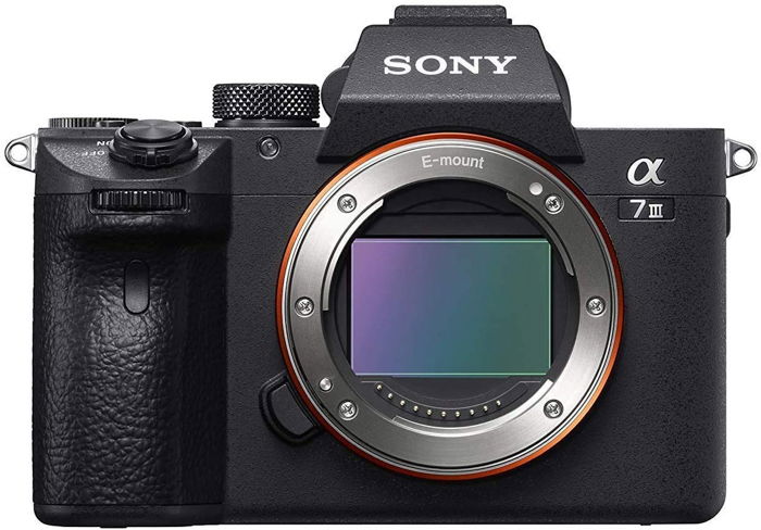 A Sony A7II camera