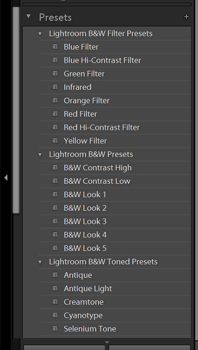 Screenshot of editing black and white photo in Lightroom