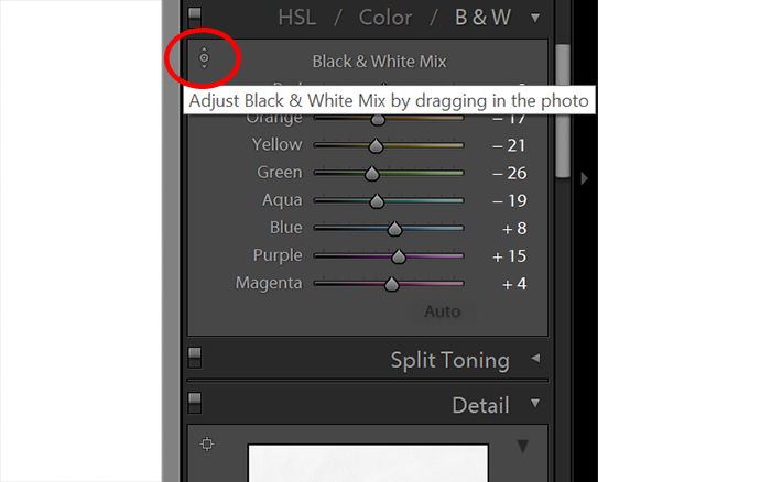 Screenshot of editing black and white photo in Lightroom