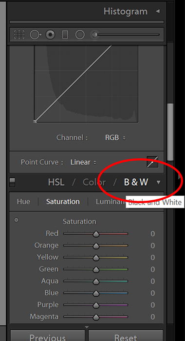 Screenshot of editing black and white photo in Lightroom