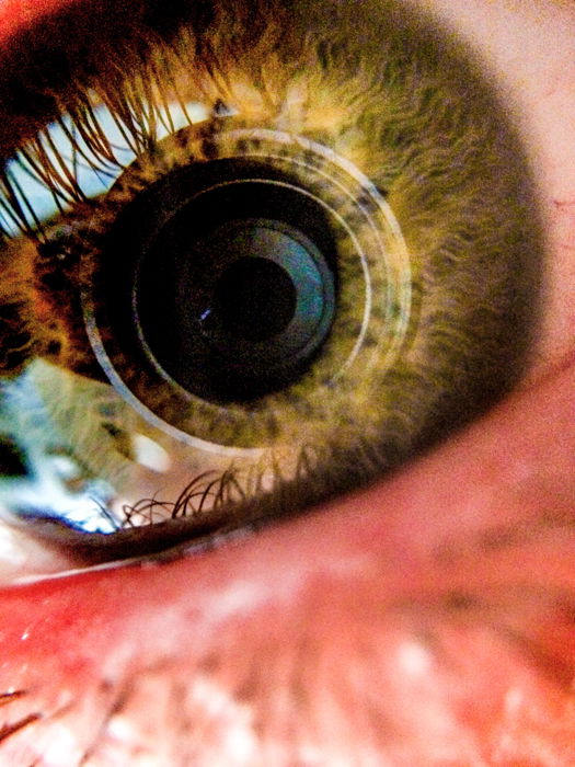 closeup photo of the human eye