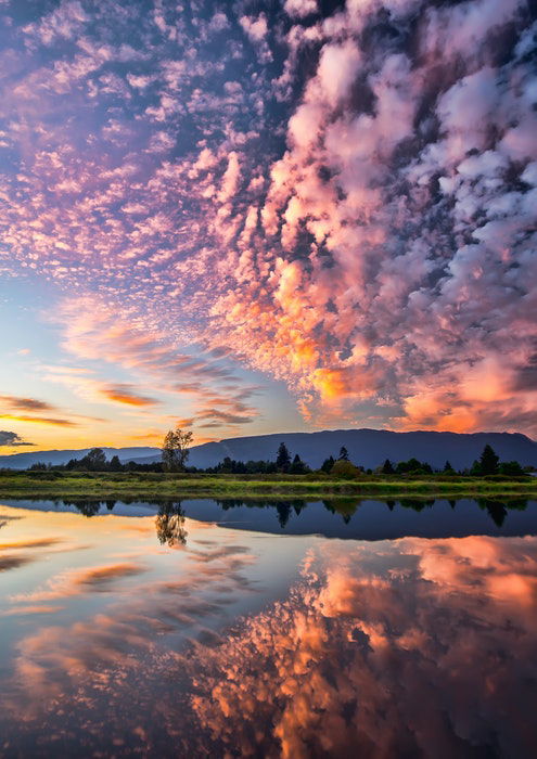 a photgraph of clouds above reflected in a lake below with pink hues