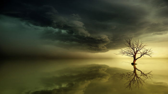 Fine art photo of a tree in a stormy landscape