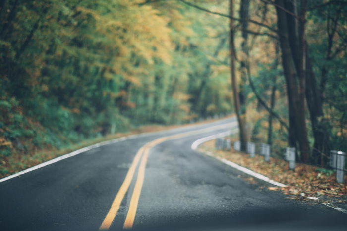 An empty road surrounded by trees