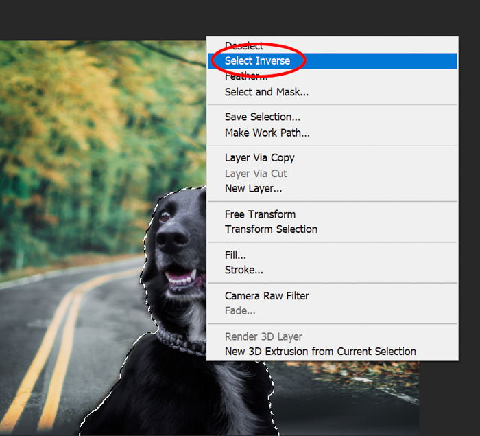 Screenshot of using select inverse in Photoshop