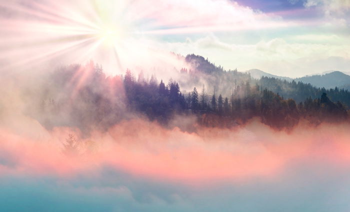 A foggy forest and mountain landscape in autumn with a sun flare