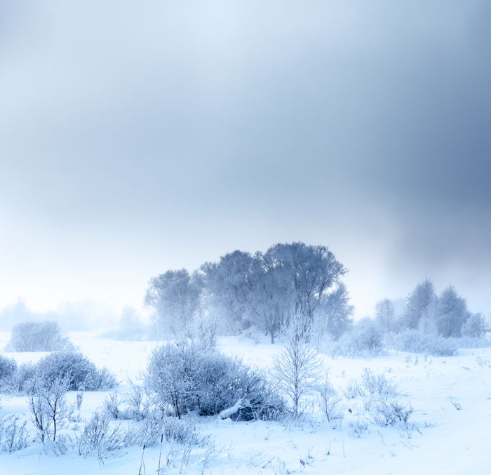 Snowy winter landscape