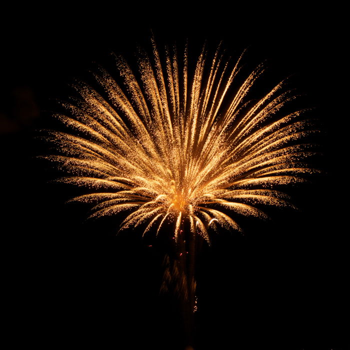 A sparkling firework explosion against the night sky.