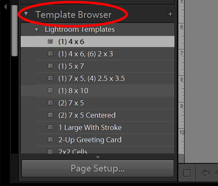 screenshot of lightroom UI of Template Browser