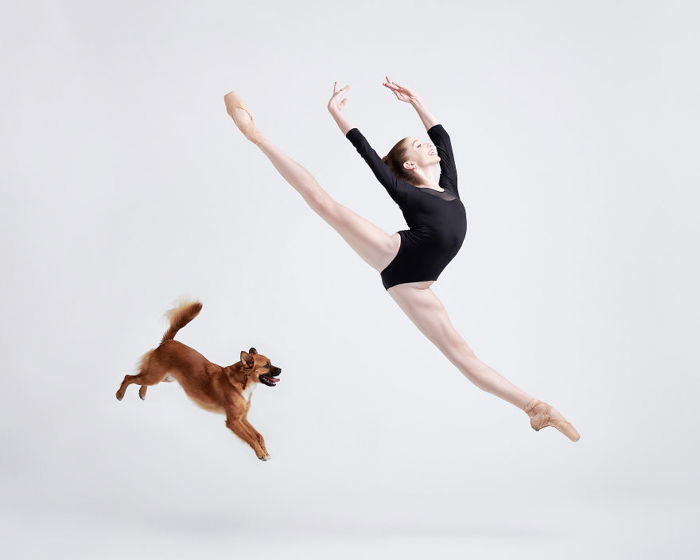 A ballerina jumping beside a little dog