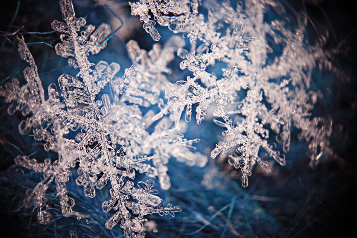 A closeup image of a snowflake crystal.