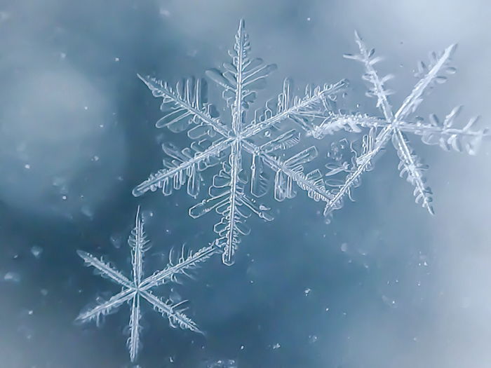 A creative macro snowflake photography composition.