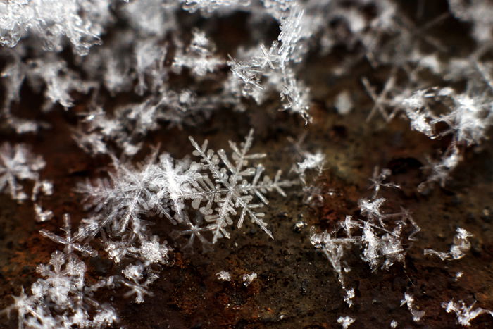 Snowflake macro photography.