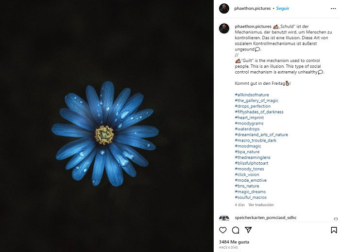 Macro image of a blue flower with water droplets against a dark background