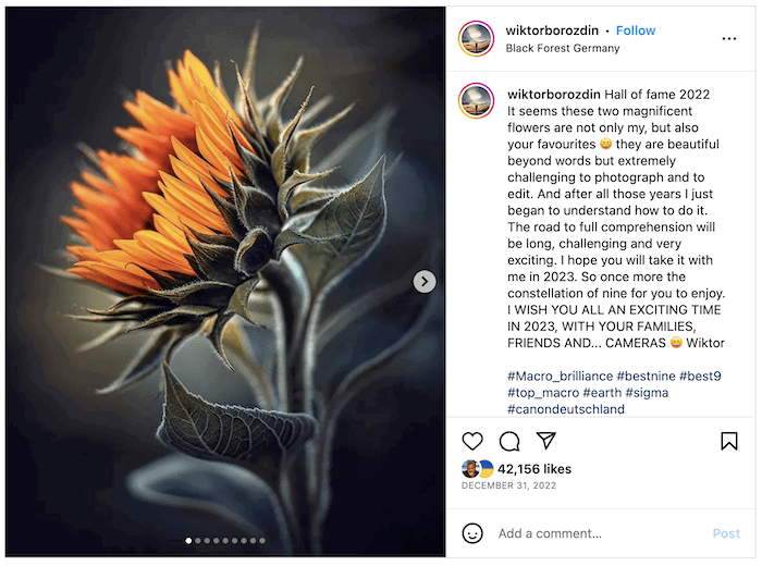 Screenshot of Wiktor Borozdin's Instagram with a sunflower