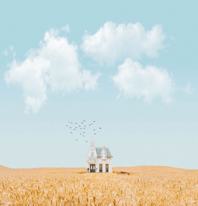 A digitally manipulated image of a house, birds and a landscape