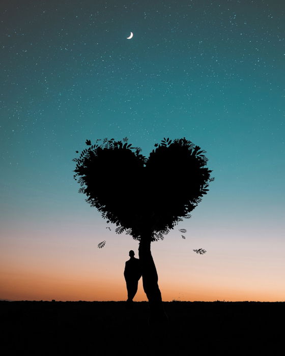 Manipulated image of with a person standing next to a heart-shaped tree behind the stars