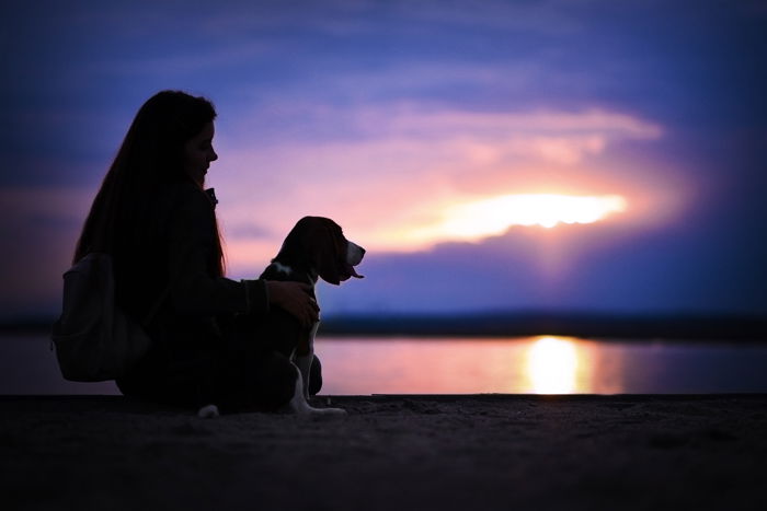 Cool silhouette photography of a girl and a dog on a beach at evening