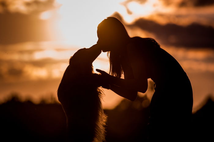 Cool silhouette photo of a girl kissing a dog