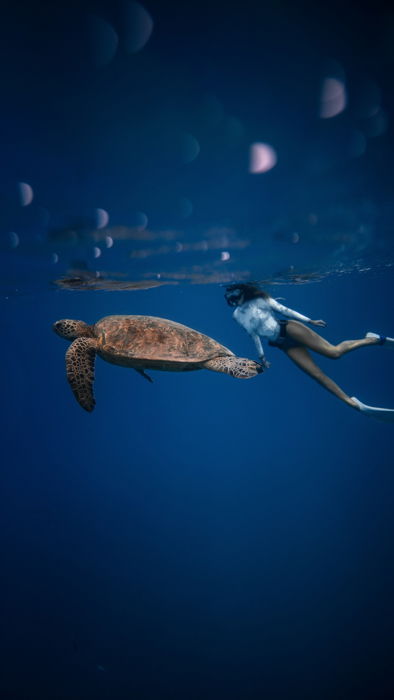 an image of a woman snorkeling next to a sea turtle