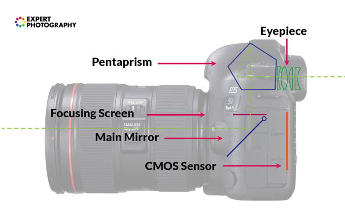 Infographic explaining the optical viewfinder