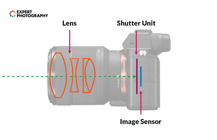 Infographic explaining the electronic viewfinder