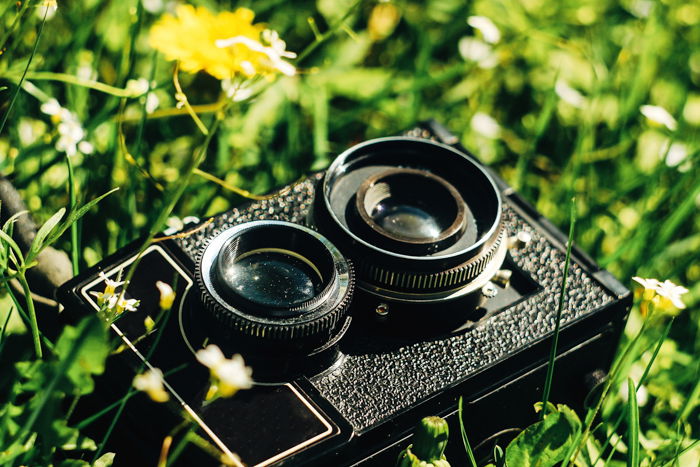 Picture of a twin-reflex film camera among flowers and grass