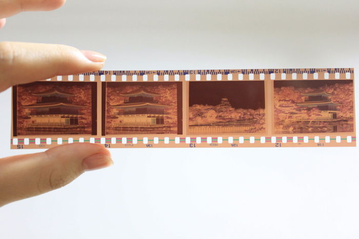 A hand holding a slide of 35mm negative