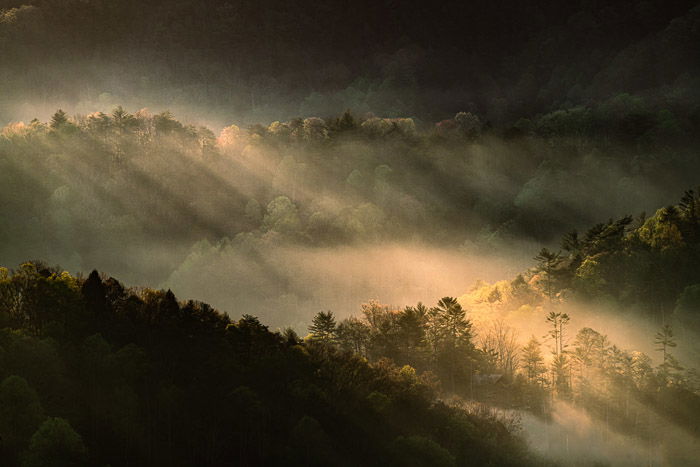 Mountain fog in valley