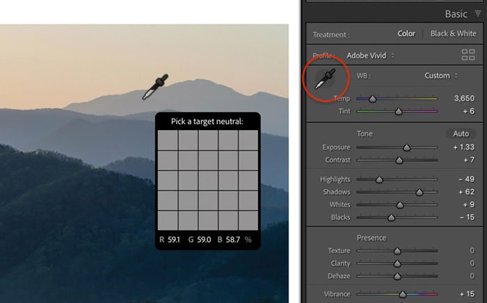 Lightroom white balance eyedropper