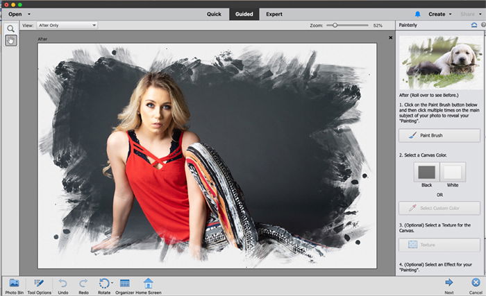 Screenshot photoshop elements painterly effect