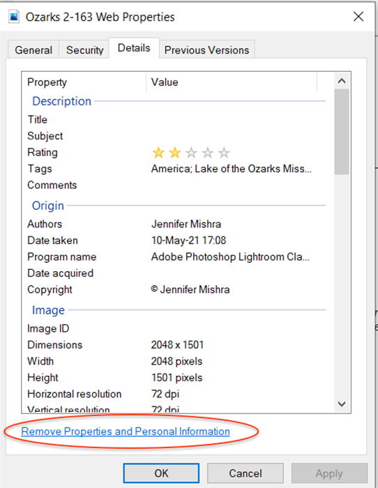 a screenshot of Windows properties panel showing how to remove metadata from your image