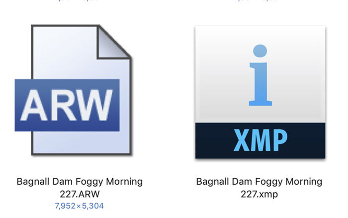 Raw and XMP file icons