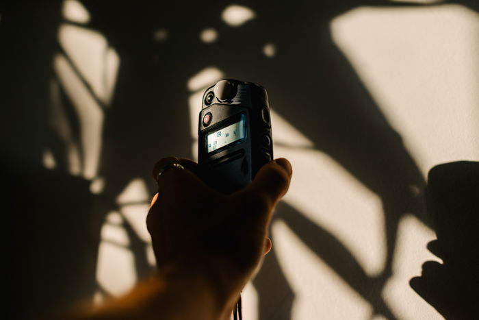 A persons hand holding a phone and taking a picture against a backdrop of shadowed trees.