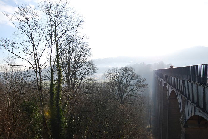 image of a forest with a bridge and foggy background