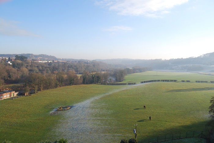 image of green fields 