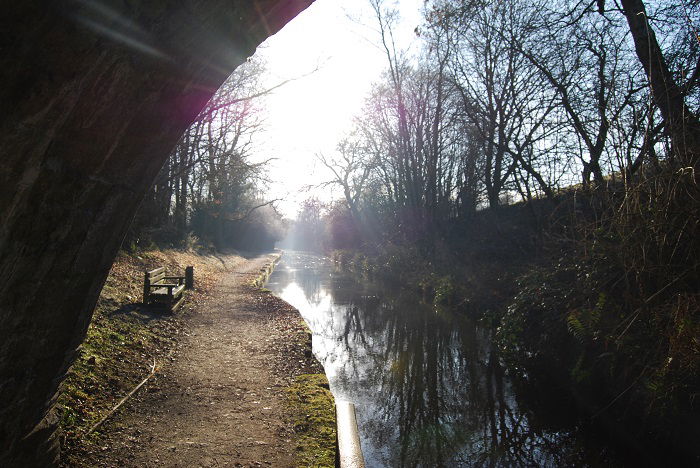 image of a stream under a bridge with a dirt trail