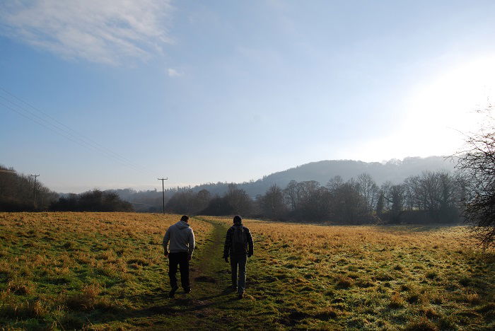 two people walking in a trail through a field