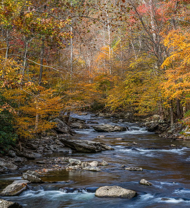 A flowing river surrounded by autumn trees to illustrate recommended landscape photography settings