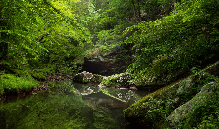 An outdoor shot of a lake in a forest with green foliage -best camera settings for landscape photography